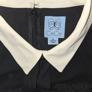 CeCe Black Dress with Cream Collar